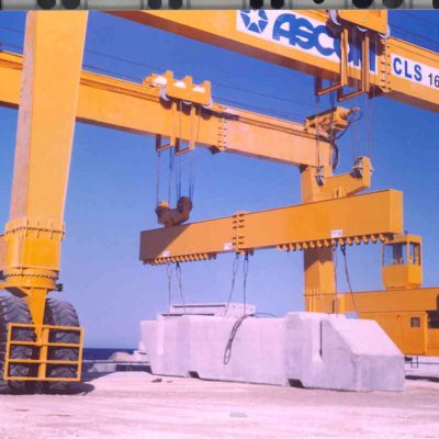 AerLift-ASCOM CLS160 automated rail mounted gantry crane